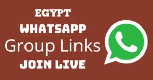 Read more about the article Egypt Whatsapp Group Links Join Live