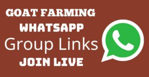 Read more about the article Goat Farming Whatsapp Group Links Join Live