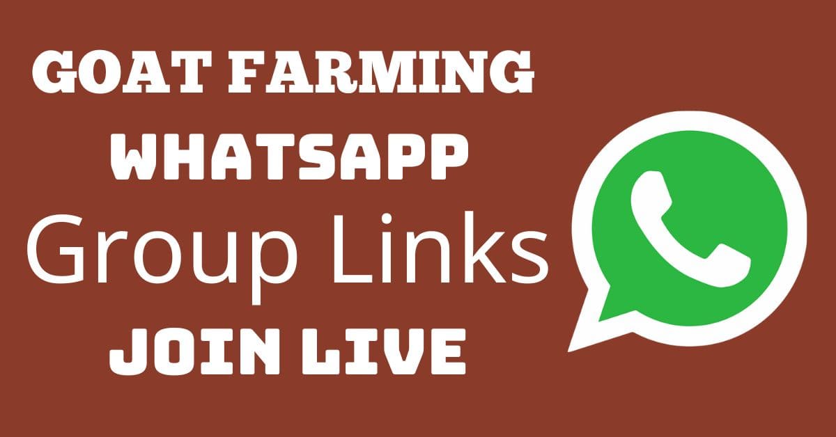 You are currently viewing Goat Farming Whatsapp Group Links Join Live